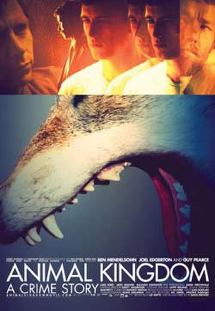 Poster art for "Animal Kingdom."