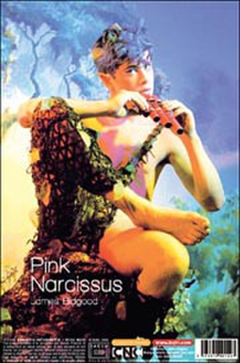 Poster art for "Pink Narcissus."