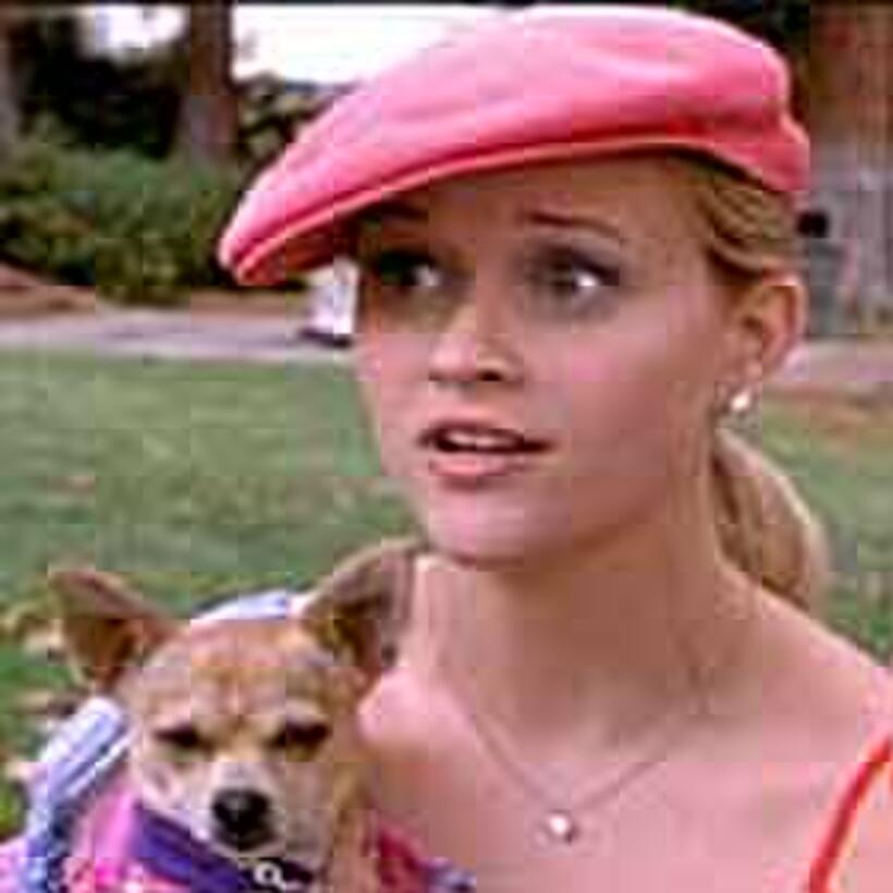 Reese Witherspoon stars in "Legally Blonde."
