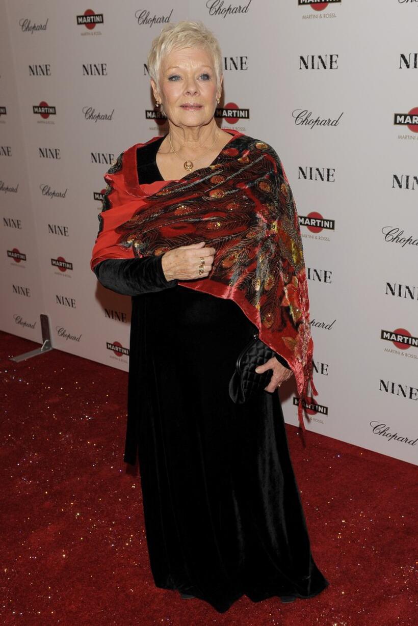 Dame Judi Dench at the New York premiere of "Nine."