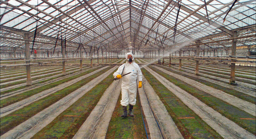 A scene from "Our Daily Bread."
