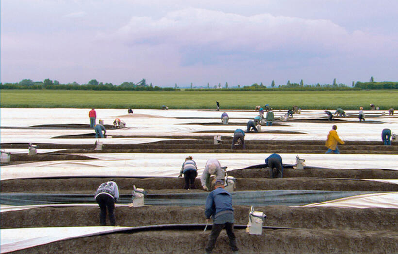 A scene from "Our Daily Bread."