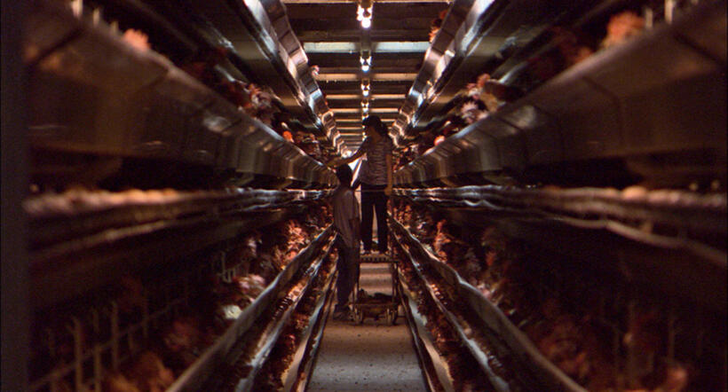 A scene from "Our Daily Bread."