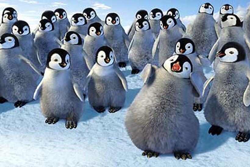 Young Seymour (voice of Cesar Flores) performs his heartsong rap for his Penguin Elementary School classmates in "Happy Feet."