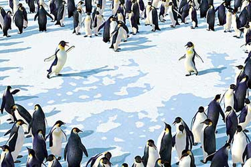 Memphis (voice of Hugh Jackman) and Norma Jean (voice of Nicole Kidman) fall in love in "Happy Feet."