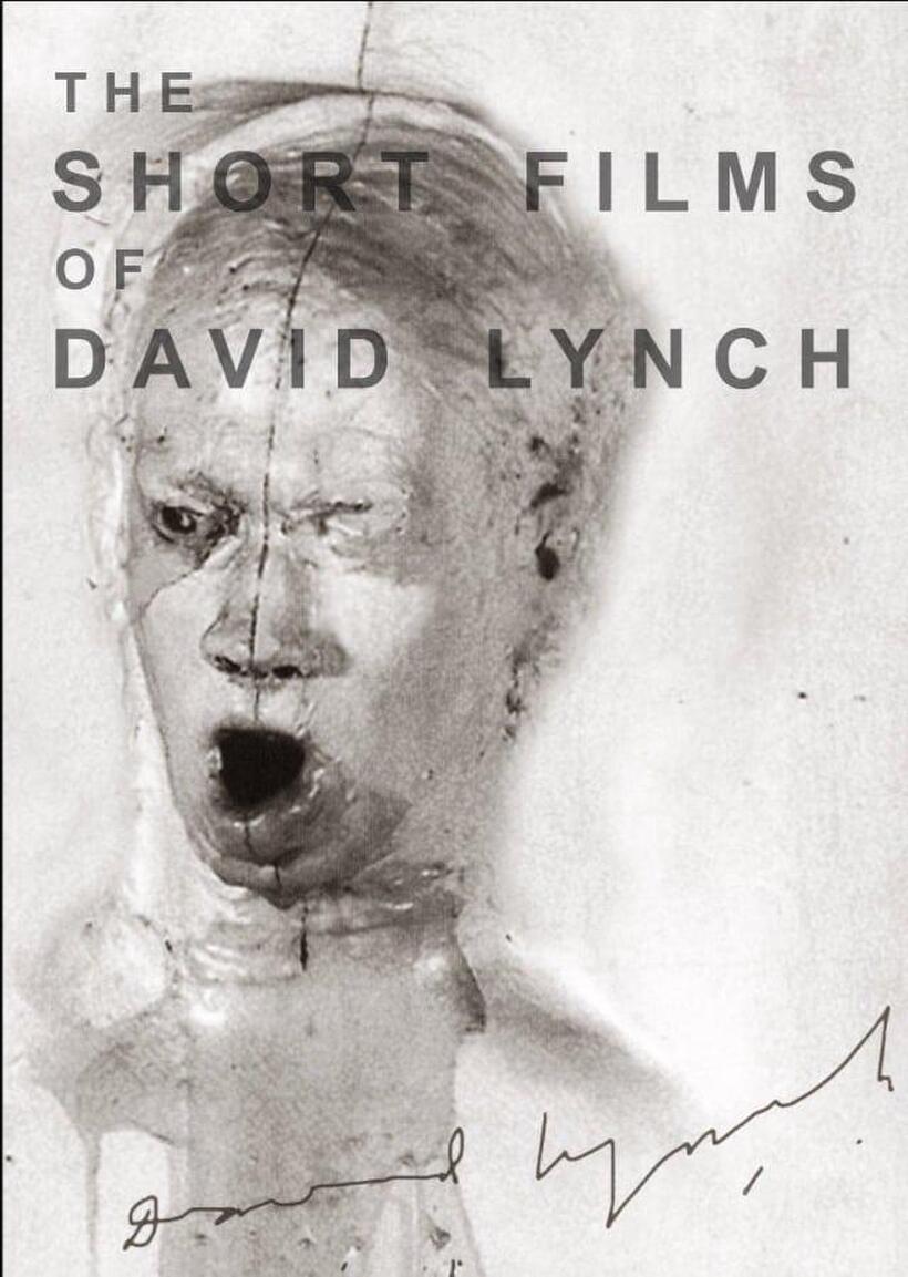 The Short Films of David Lynch poster art