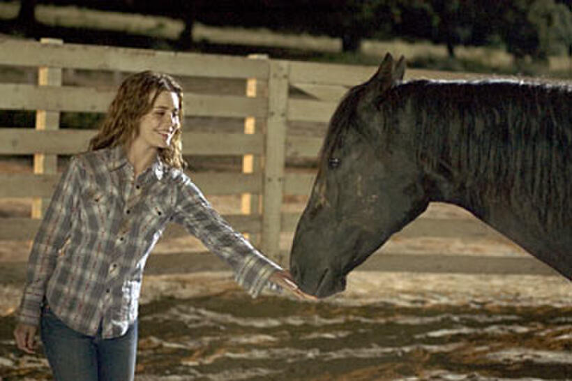 A scene from "Flicka."