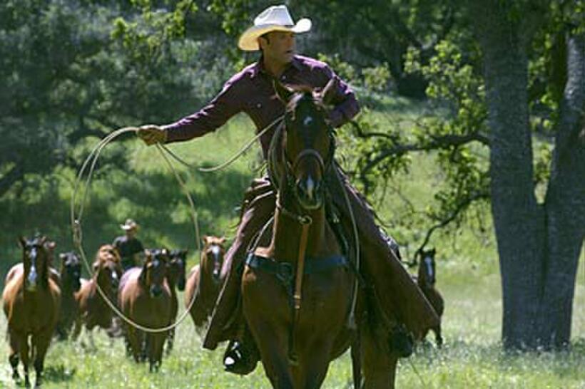 A scene from "Flicka."