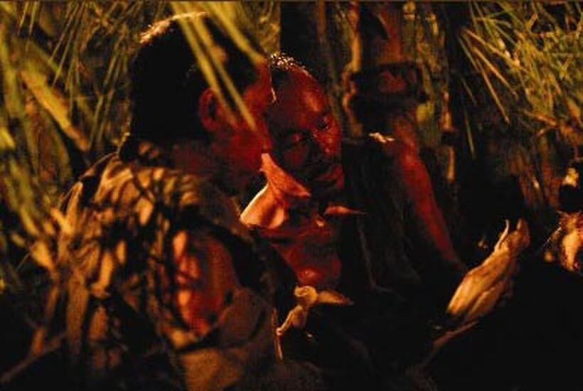 A scene from "Journey from the Fall."