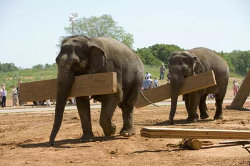 A scene from "Evan Almighty."