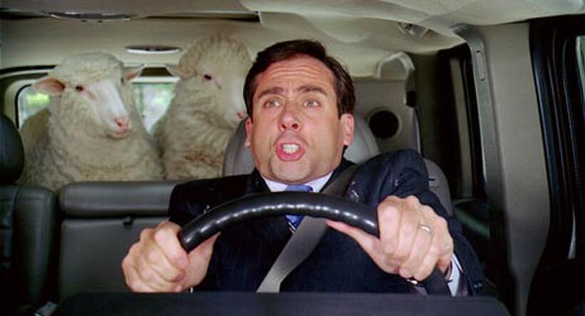 Steve Carell in "Evan Almighty."
