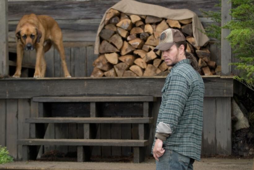 Mark Wahlberg in "Shooter."