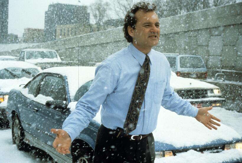 
	The Looks of Bill Murray
