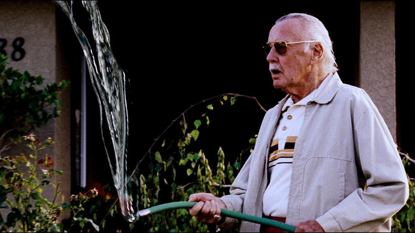 
 Excelsior! The Many Cameos of Marvel's Stan Lee
