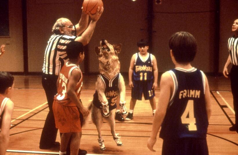 
	The Best Basketball Movies
