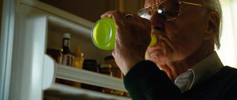 
 Excelsior! The Many Cameos of Marvel's Stan Lee
