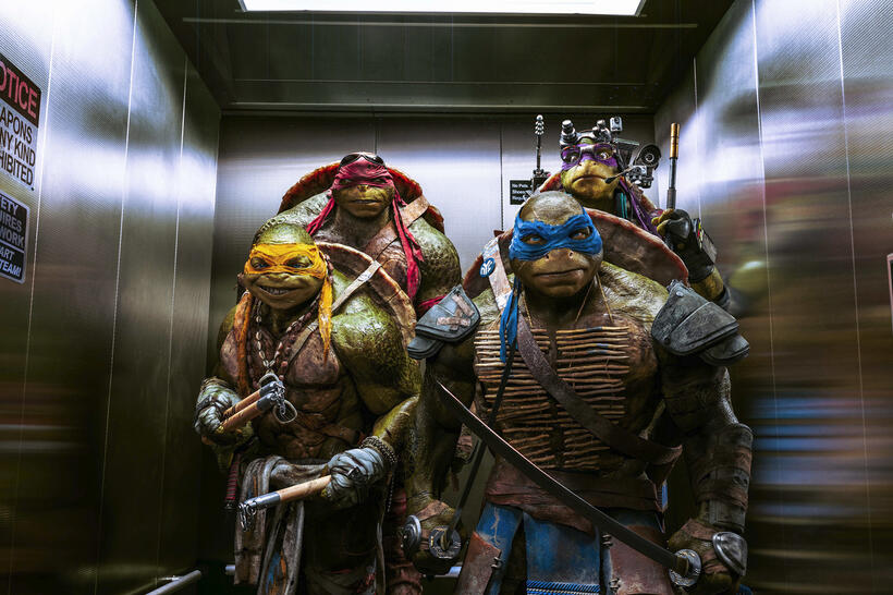 
	Teenage Mutant Ninja Turtles: Out of the Shadows
