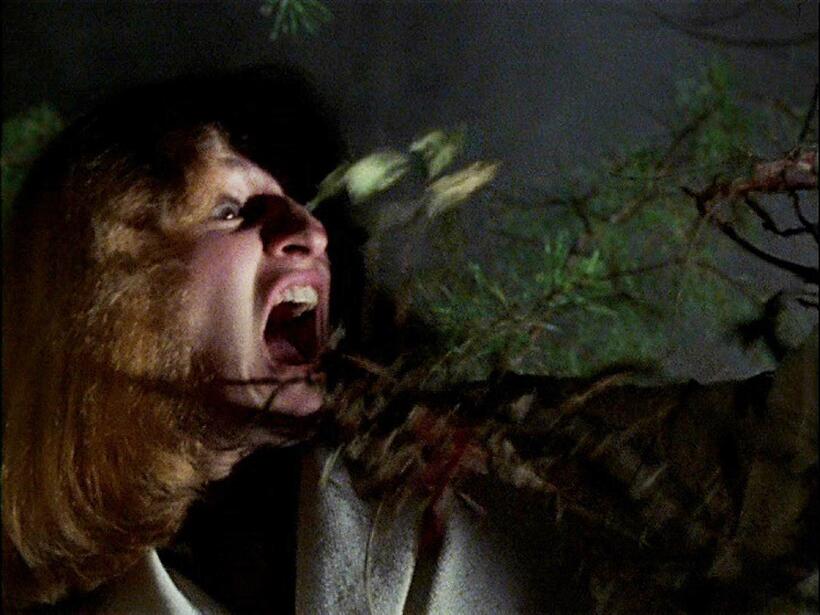 
	The Possessed Tree in The Evil Dead
