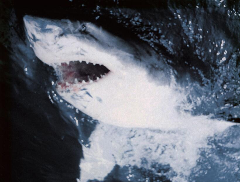 Lucky 4: Franchises that have Reached 4 Installments