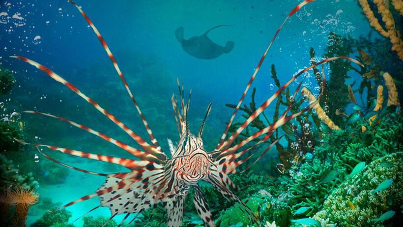 
	Our Favorite Green Movies
