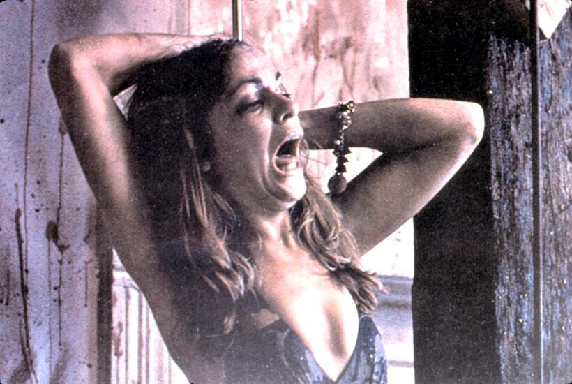 
	The Texas Chainsaw Massacre
