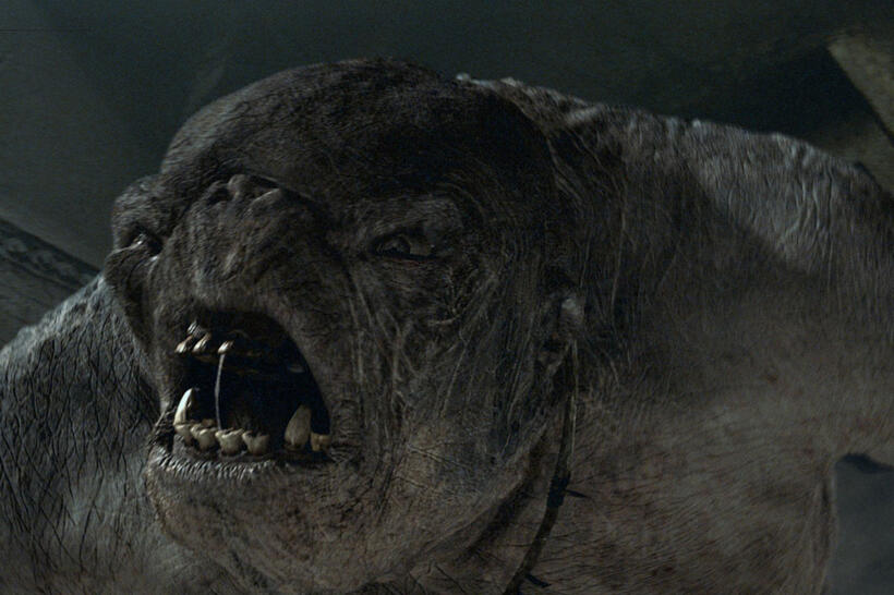 
	Cave Trolls
