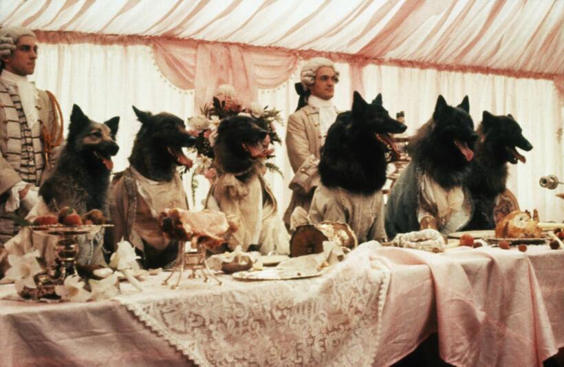 
	THE COMPANY OF WOLVES

