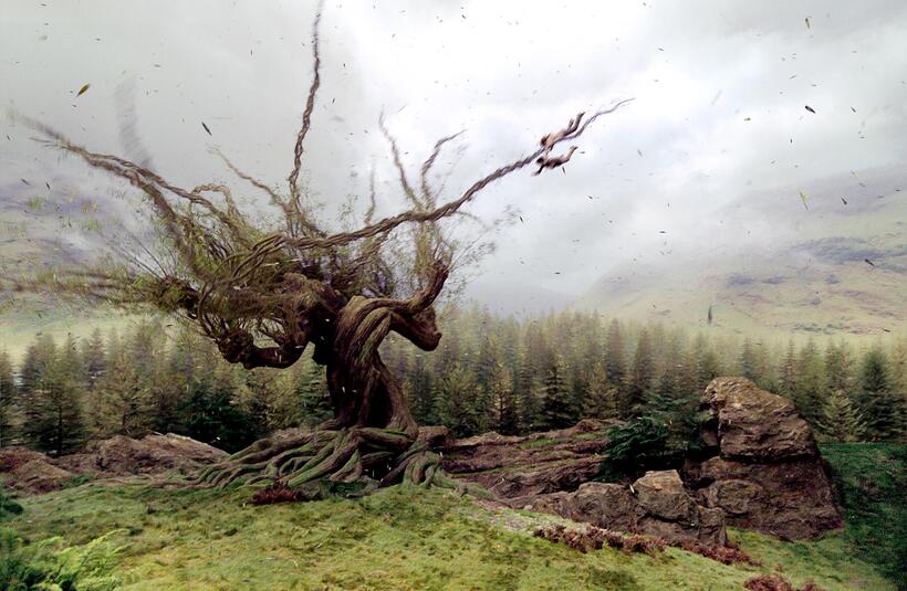 
	The Whomping Willow in Harry Potter and the Prisoner of Azkaban
