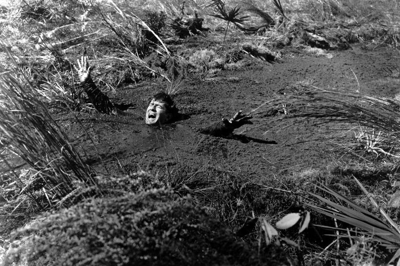 
	Two Thousand Maniacs
