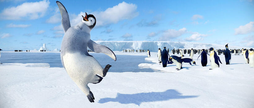 
	Happy Feet
