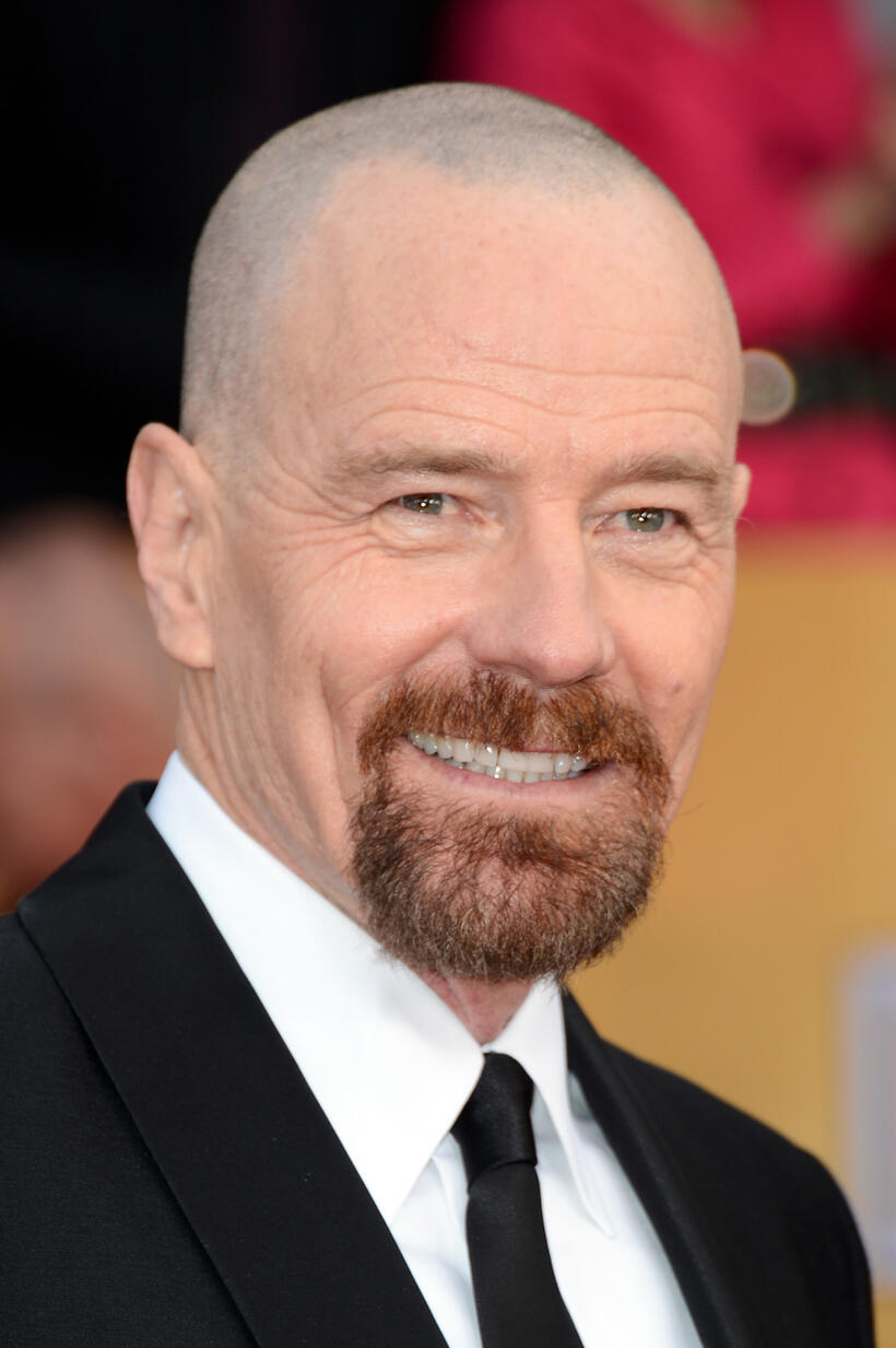 
	2013 SAG Awards Red Carpet

