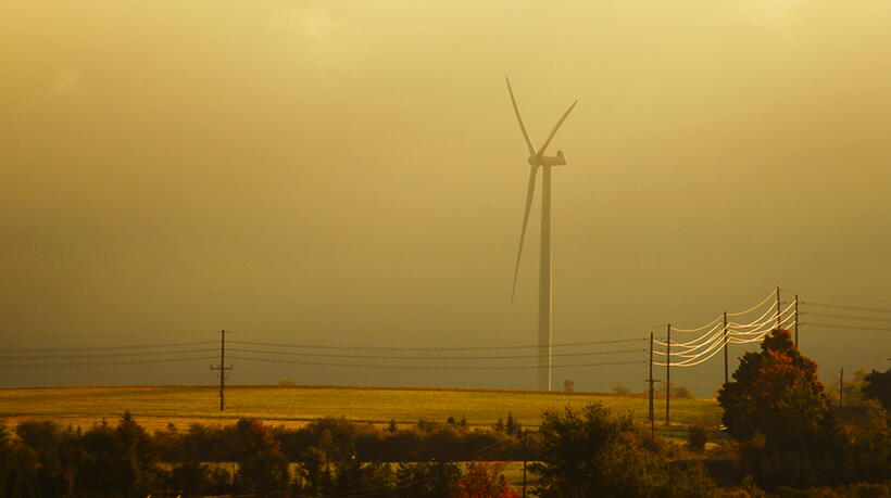 
	Our Favorite Green Movies
