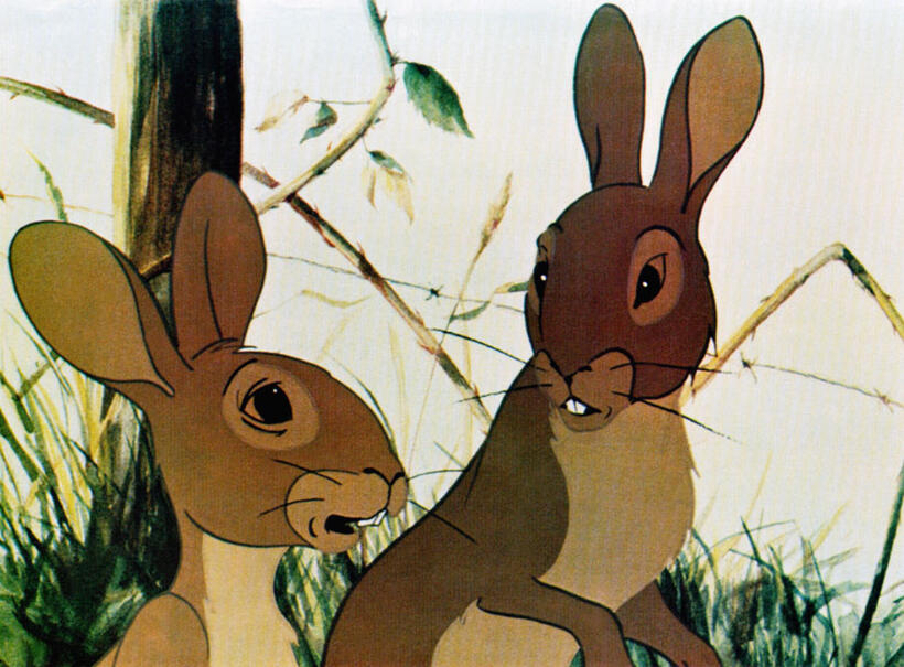 
	Watership Down
