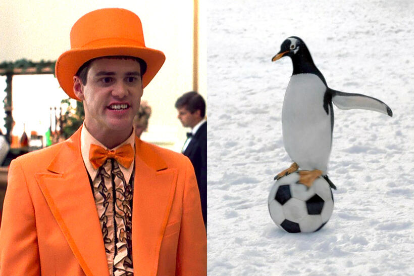 
	Jim Carrey
