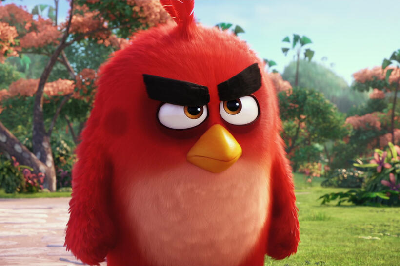 
	The Angry Birds Movie
