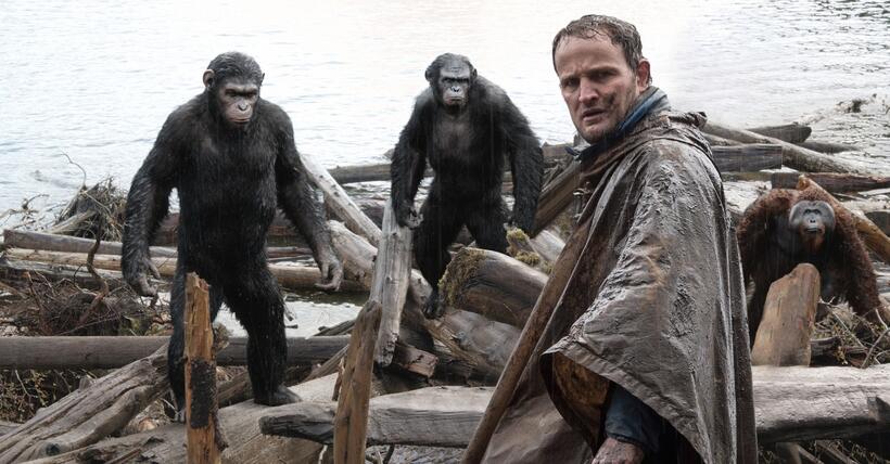 
	Dawn of the Planet of the Apes
