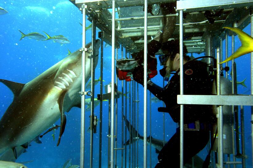 
	OPEN WATER
