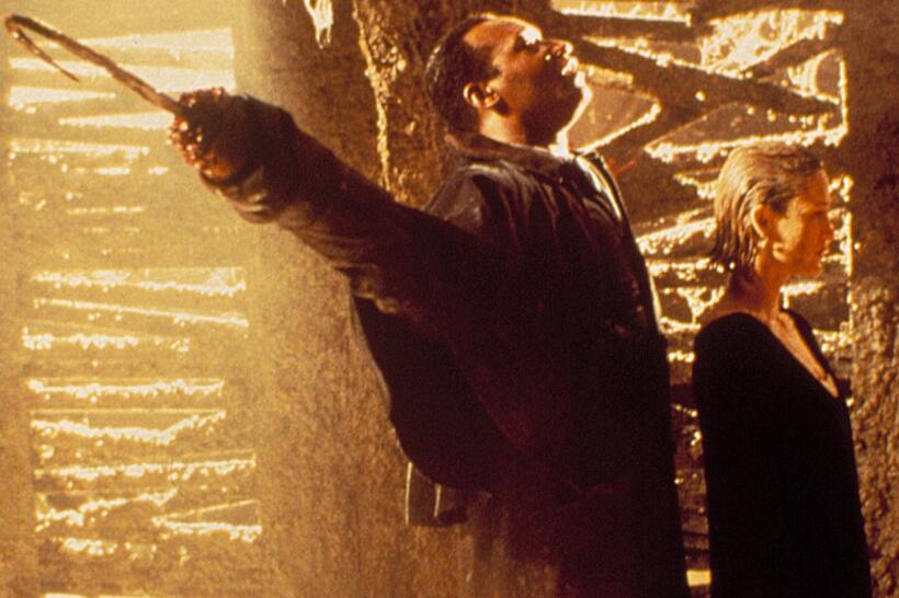 
	Candyman: Farewell to the Flesh
