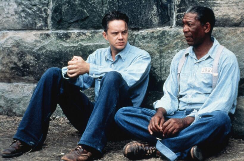 
	Tim Robbins as&nbsp;Andy Dufresne in The Shawshank Redemption
