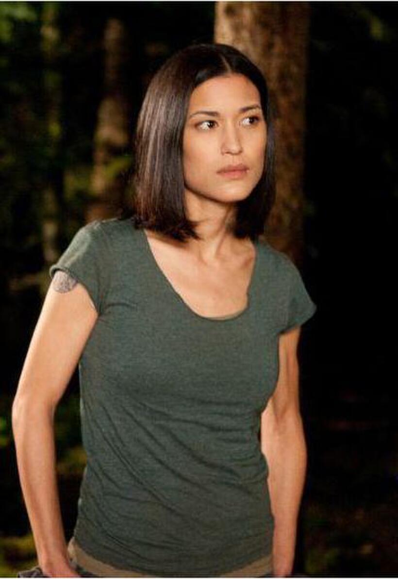 Twilight Trivia: Breaking Dawn - Part 1