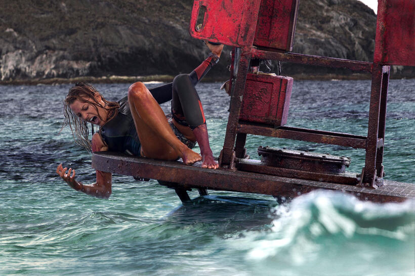
	The Shallows
