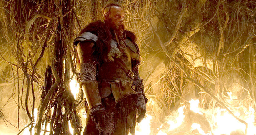 
	The Last Witch Hunter
