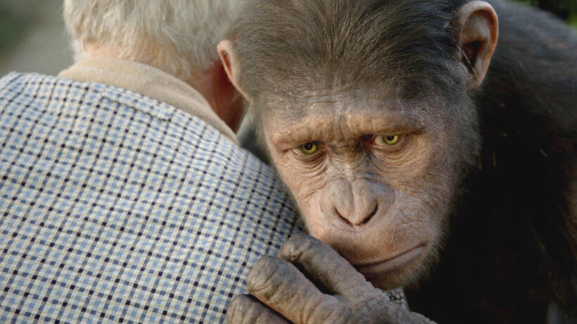 
	Caesar in Rise of the Planet of the Apes
