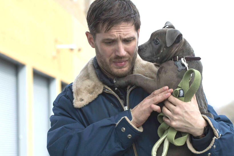 
	Bob Saginowski in &lsquo;The Drop&rsquo;
