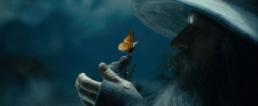 
	Gandalf and the Moth

