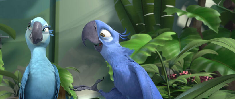 
	Rio
