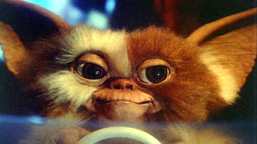 
	GREMLINS

