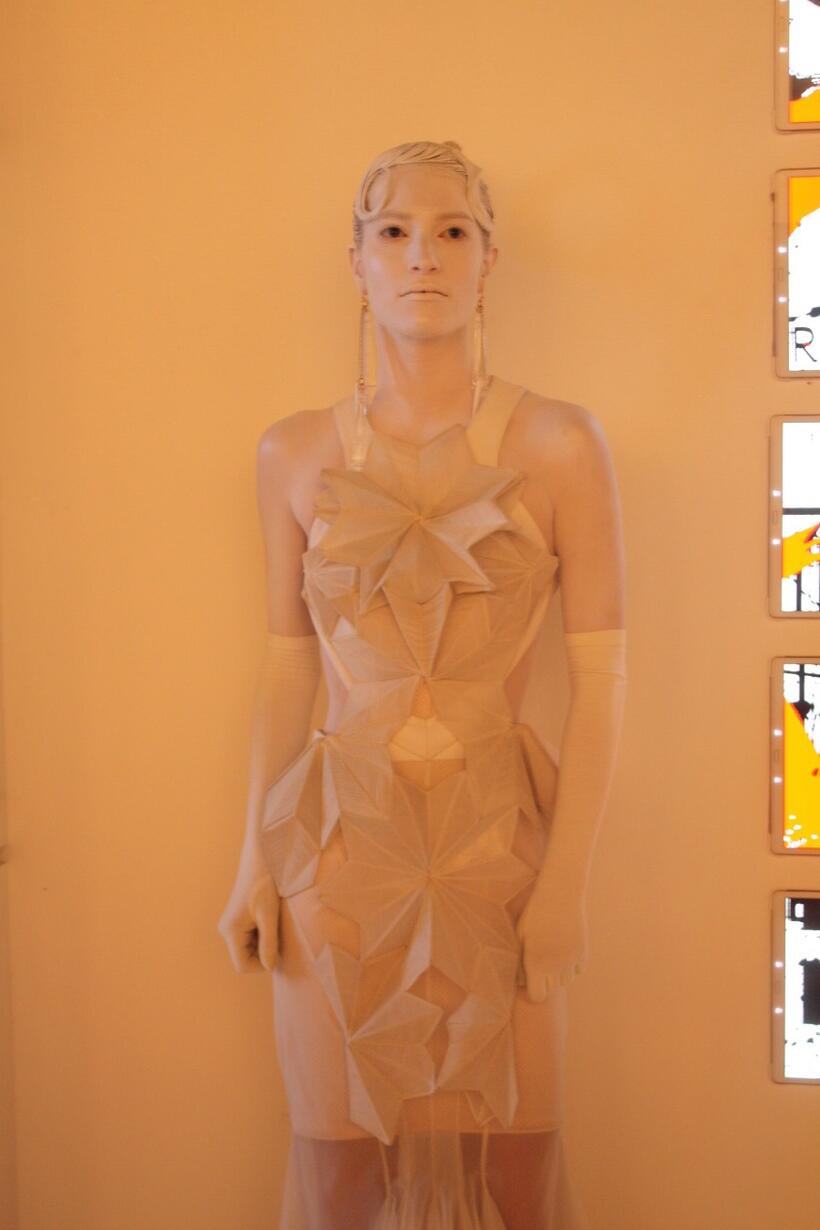 
	Comic-Con 2014: Hunger Games Capitol Gallery
