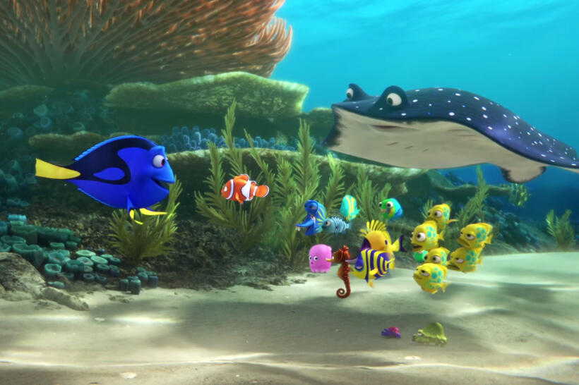 
	Finding Dory
