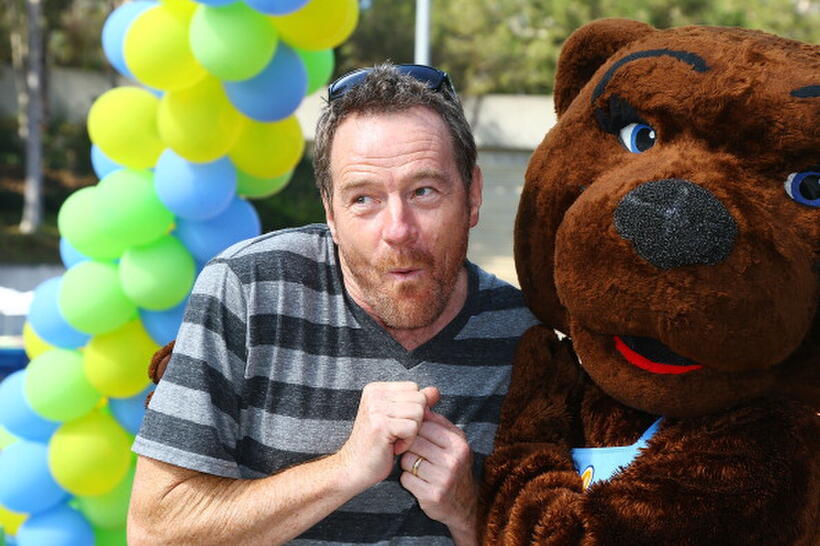 
	Reasons to Love: Bryan Cranston
